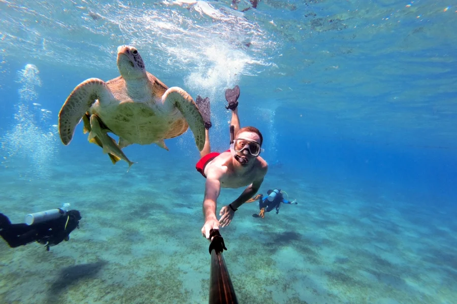 Diver exploring coral reef in Marsa Alam