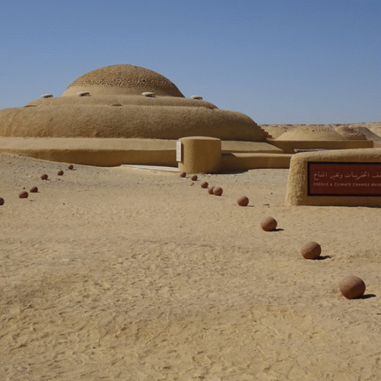 Wadi al-Hitan, museum - Al Fayoum - Egypt Tours Group - Wadi Al Hitan Day Tour from Cairo