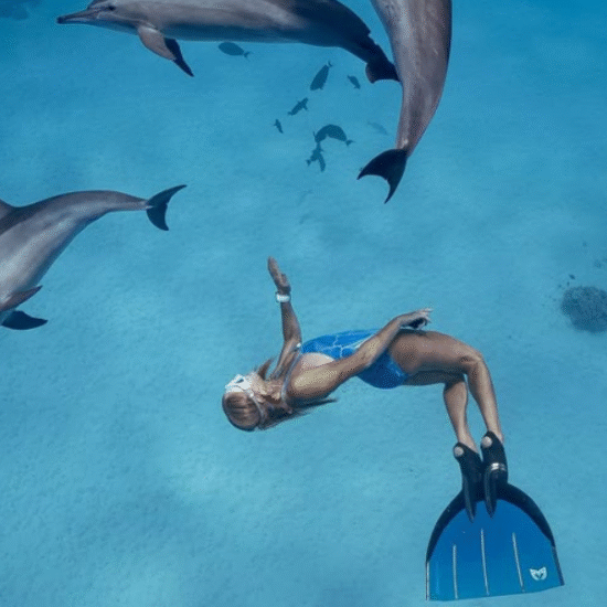 Diving in Hurghada – Red Sea Magic - 8 Days Cairo, Luxor & Hurghada Honeymoon Package