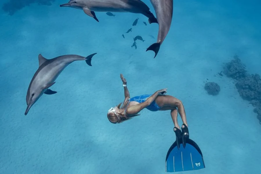 Diving in Hurghada – Red Sea Magic - 8 Days Cairo, Luxor & Hurghada Honeymoon Package
