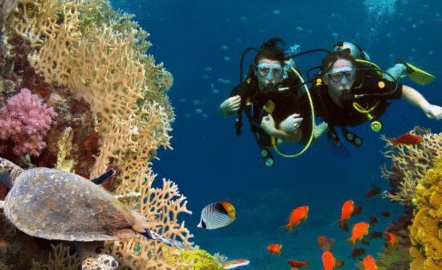 Scuba Diving in Sharm El Sheikh – Egypt Tours Group - 9 Days Cairo, Alexandria & Sharm El Sheikh Honeymoon Tour