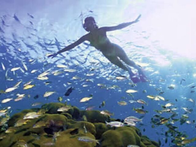 Best Hurghada Day Trips – Top Red Sea, Desert & Cultural Tours