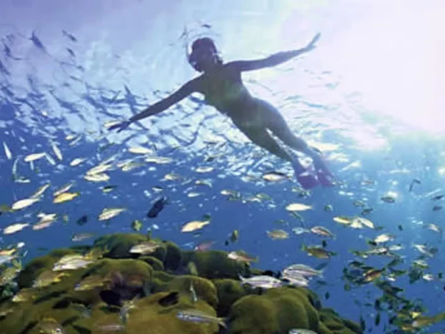 Best Hurghada Day Trips – Top Red Sea, Desert & Cultural Tours