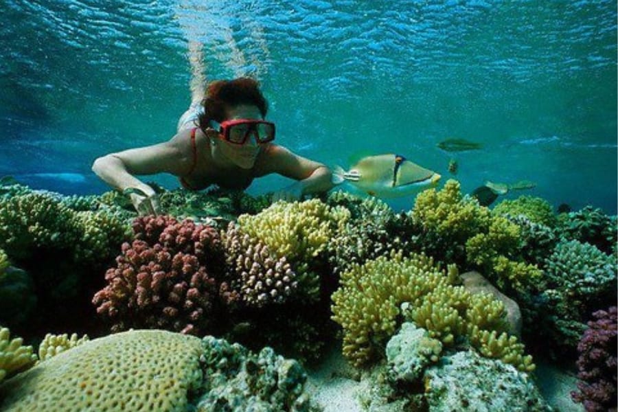 Snorkeling in Hurghada City - Holidays in Egypt - Egypt Tours Group