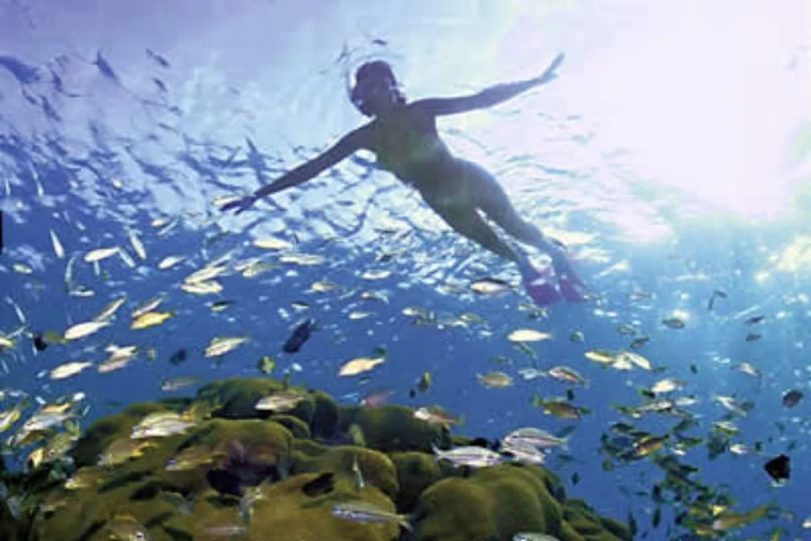 Snorkeling in Hurghada - Red Sea Adventures