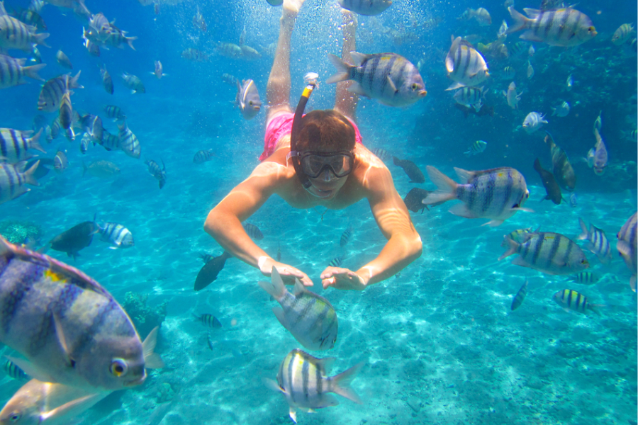 all-inclusive vacation to Egypt - Red Sea