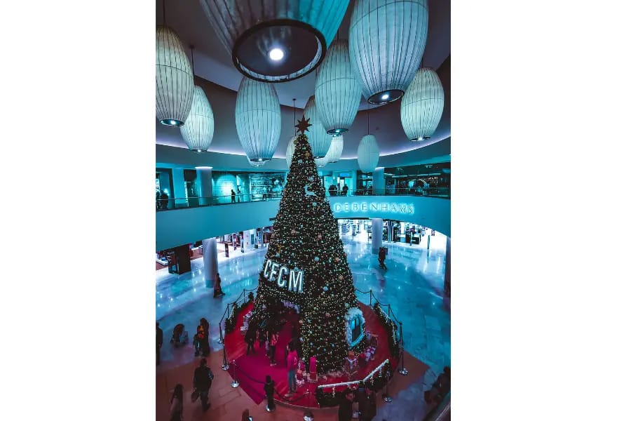 Coptic Christmas Dinner in Cairo