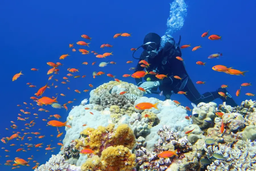 Snorkeling in Hurghada - Best Things to Do in Hurghada