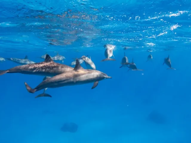 Top Things to Do in Hurghada – Your Full Red Sea Guide