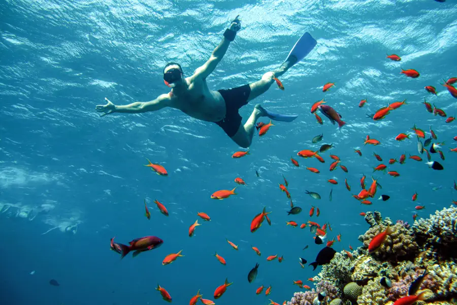 Hurghada Day Trips for Snorkeling and Desert Safari