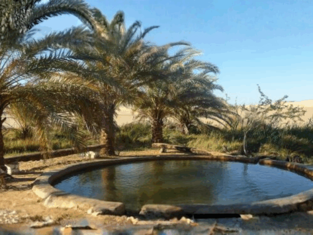 El Heiz Village in Egypt: Springs, Culture & Life in the Western Desert