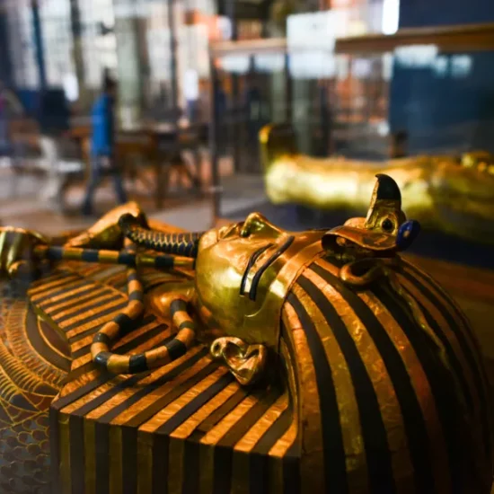 Ancient coffin in Grand Egyptian Museum, a main visit during our a part of our 12 Days Cairo, Nile Cruise & Sharm El Sheikh Family Tour