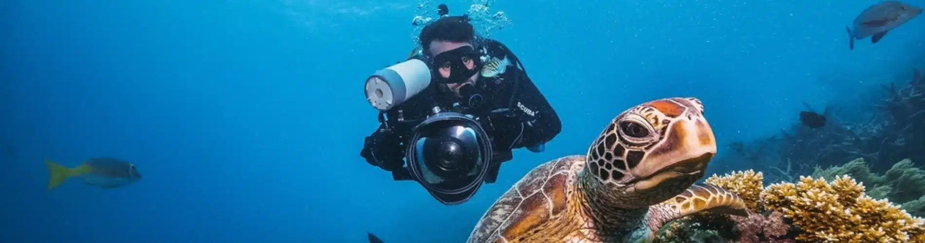 Diver photographing underwater in the Red Sea as a part of our 14 Days Egypt Family Tour Package – Cairo, Luxor, Aswan, Hurghada, Oasis & Alexandria Tour