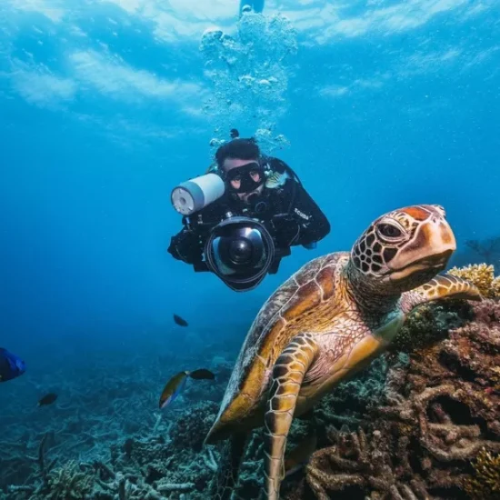 Diver photographing underwater in the Red Sea