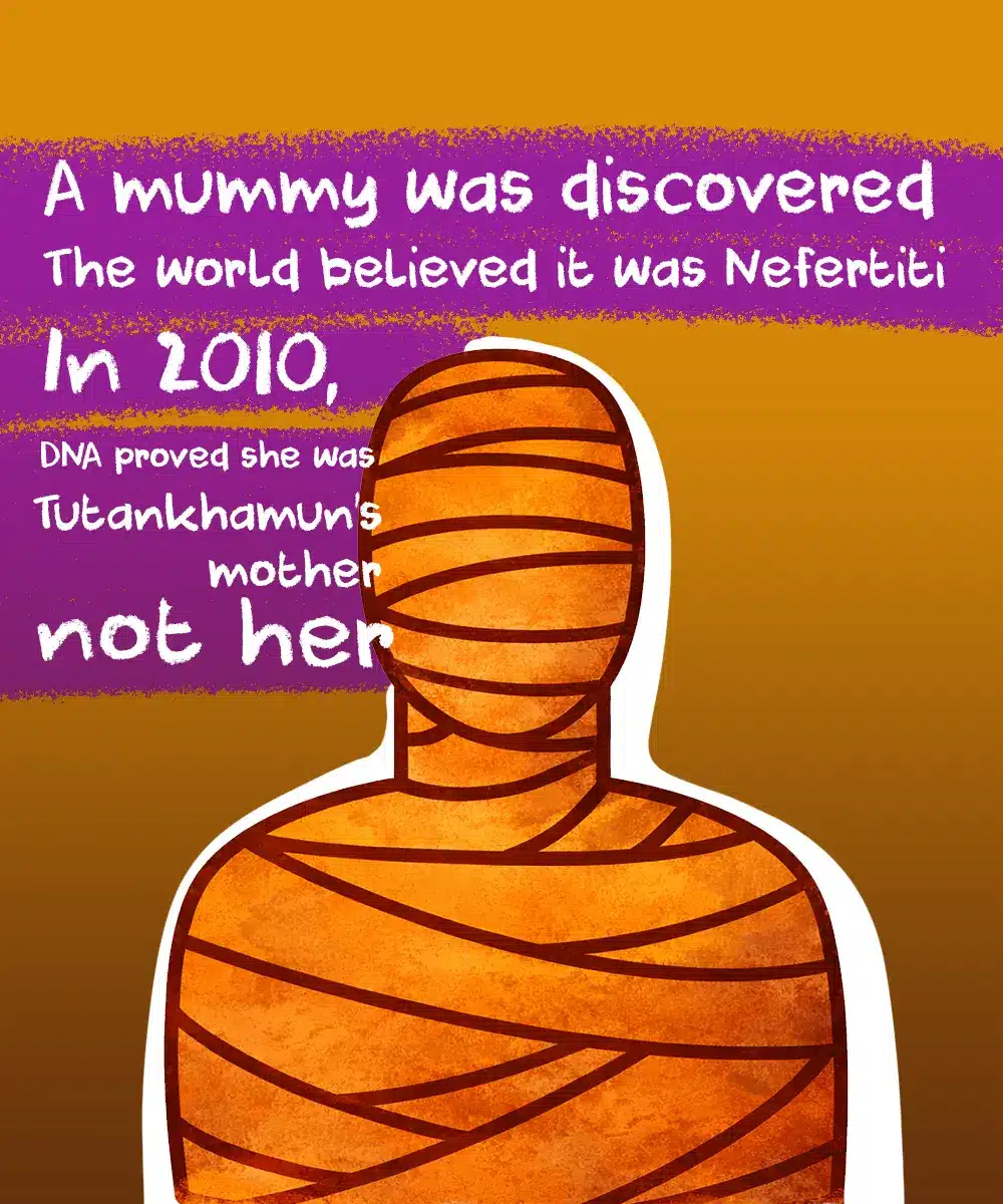 DNA analysis in 2010 proving a discovered mummy was Tutankhamun’s mother, not Queen Nefertiti