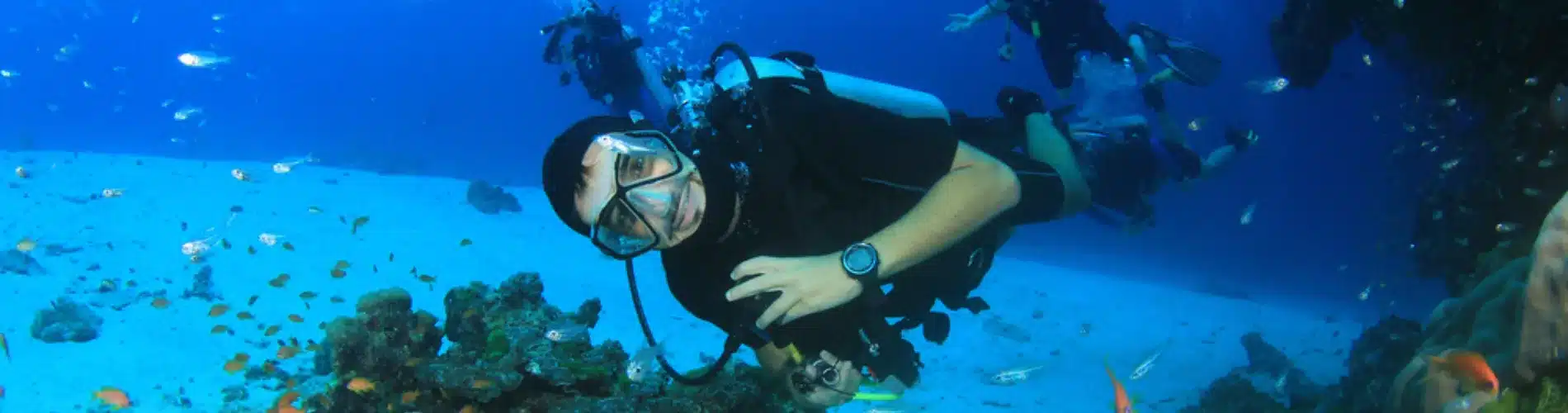 Tourist snorkeling in Red Sea Sharm El Sheikh