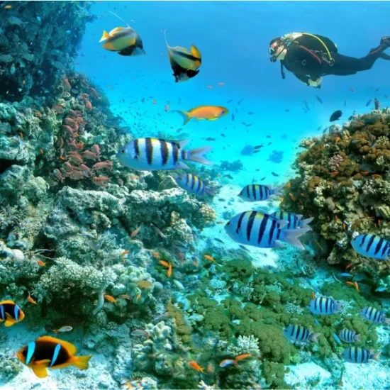 Tourist snorkeling in Hurghada Red Sea