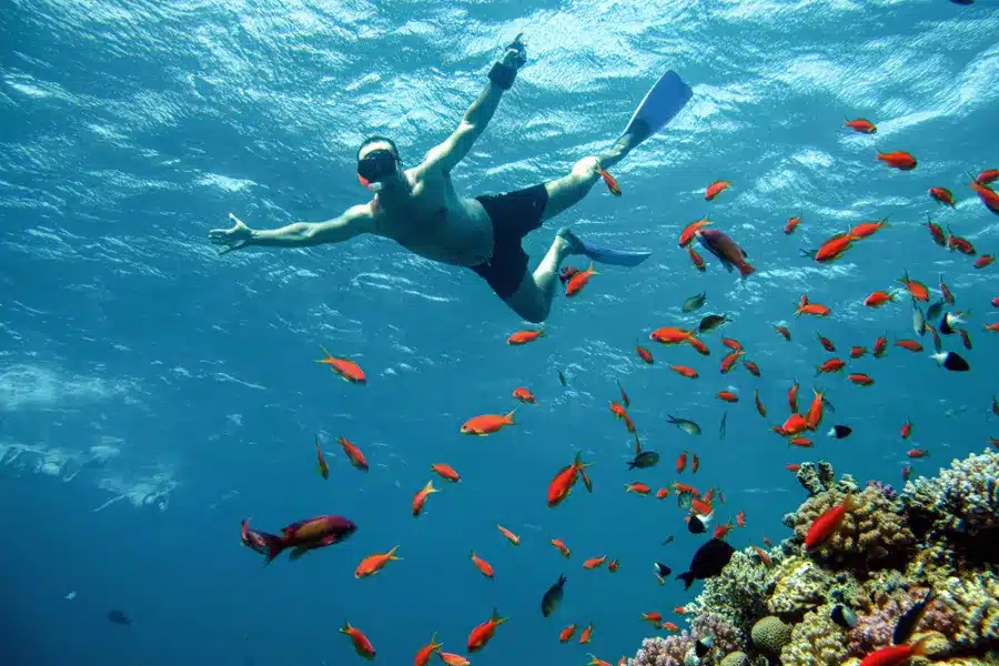 Tourist snorkeling in Hurghada Red Sea