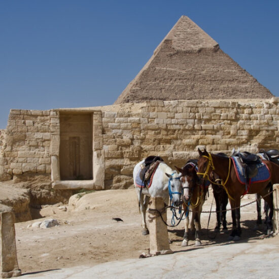 Horses in front of the Pyramids of Giza, fun activity of our 6-Day Egypt Budget Tour Package