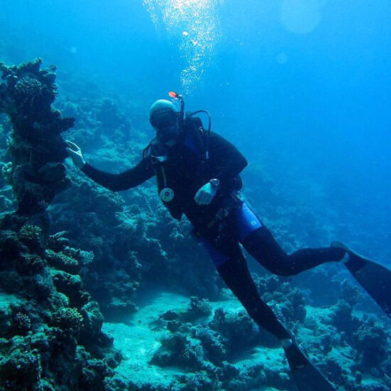 Tourist diving among coral reefs in Hurghada during our 6-Day Cairo and Hurghada Budget Tour Package
