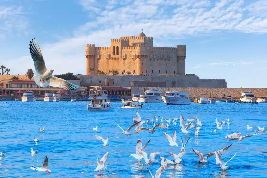 Qaitbay Citadel beside the sea with birds flying overhead